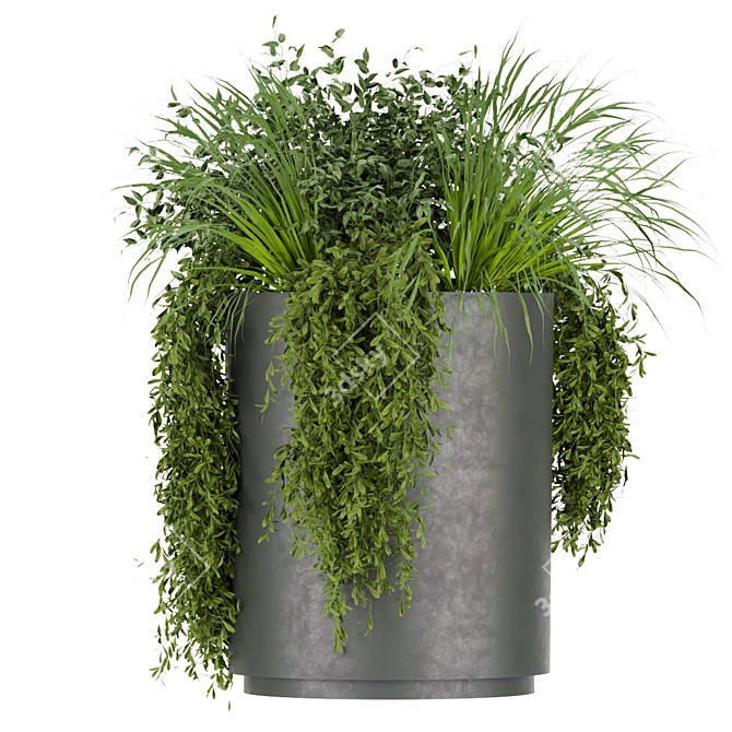 Premium Plant Collection (Vol. 232) 3D model image 2
