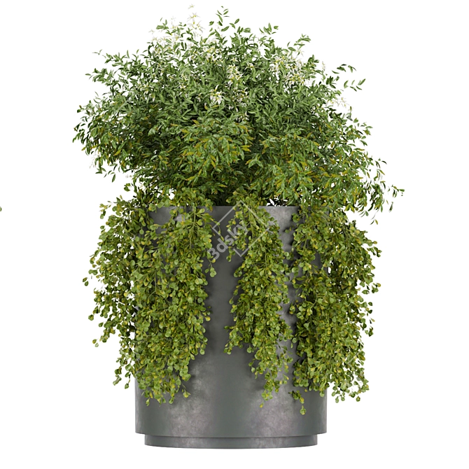 Premium Plant Collection (Vol. 232) 3D model image 4