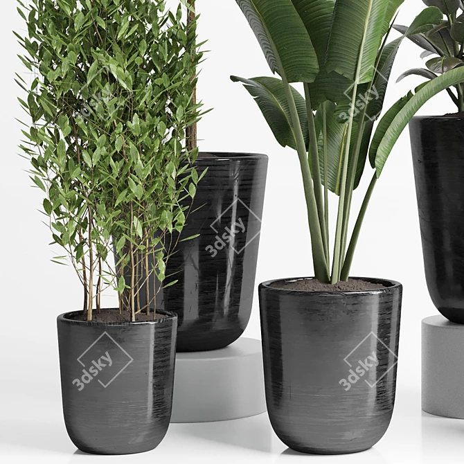 Concrete Palm Collection: Indoor/Outdoor Plant Pot 3D model image 6