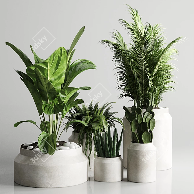 Indoor Plant Collection: 96 Pot Palm Fern Cactus 3D model image 1