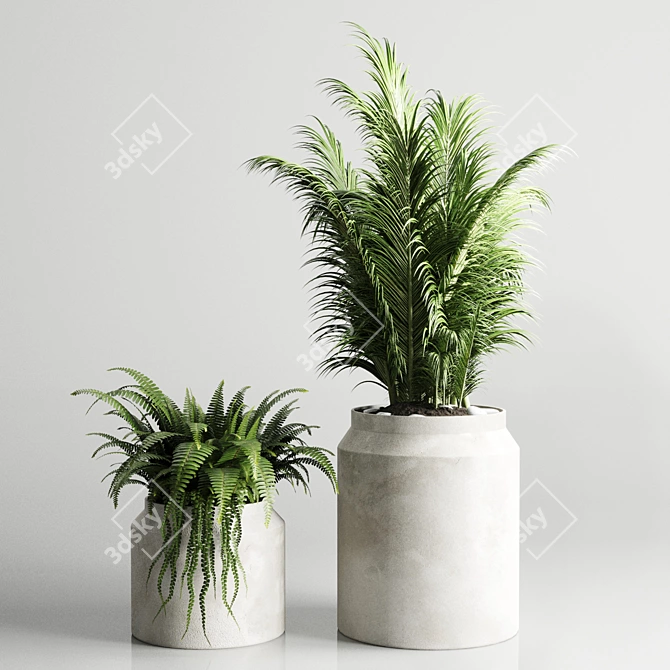 Indoor Plant Collection: 96 Pot Palm Fern Cactus 3D model image 3