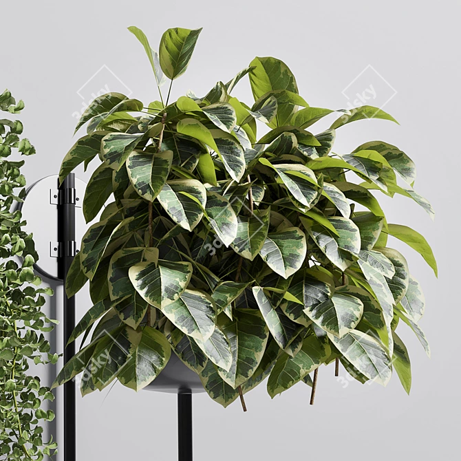 Metal Stand Wall Vase - Indoor Plant 101 3D model image 3