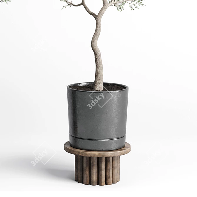 Concrete Vase Pot Tree Olive: Indoor Plant Collection 3D model image 2