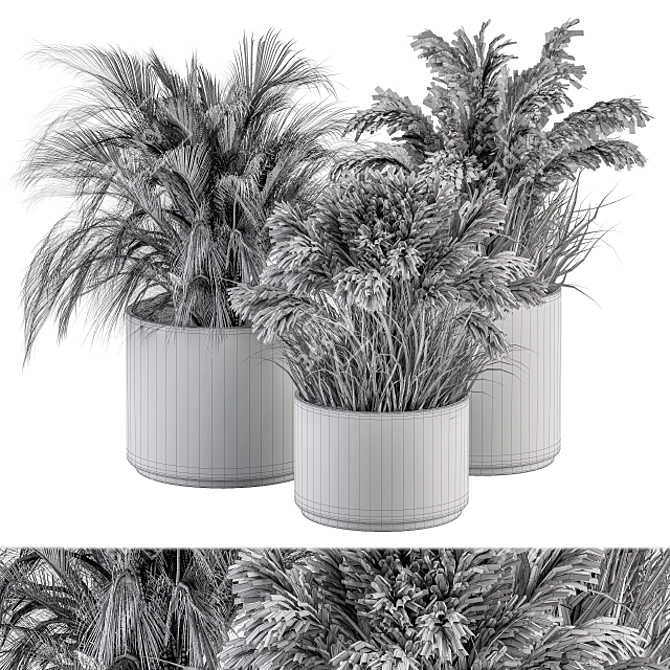 Botanical Bliss: Dried Plant Set 3D model image 5