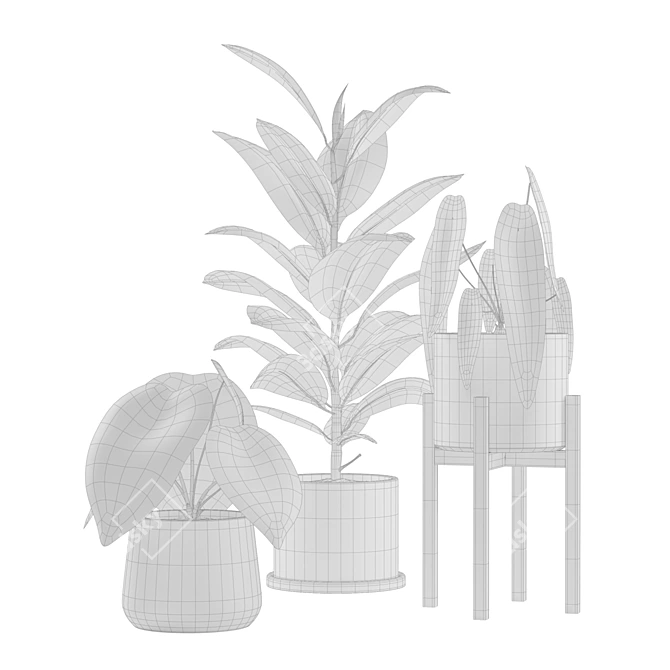 Exotic Indoor Plants Collection 3D model image 2