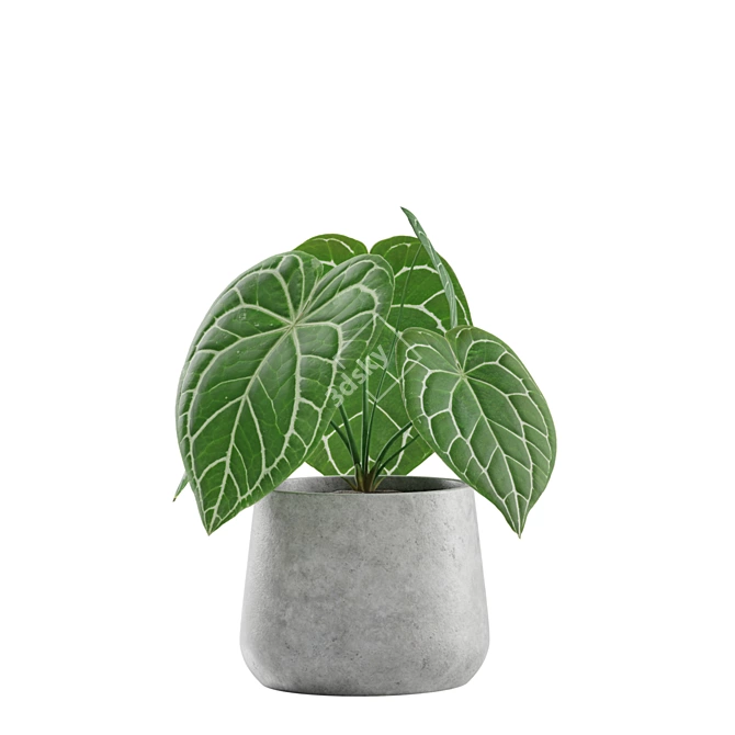 Exotic Indoor Plants Collection 3D model image 5