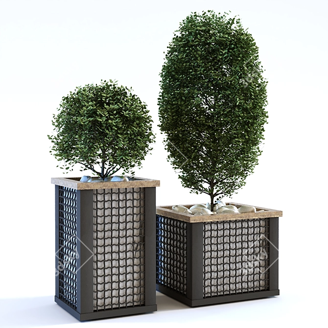 Greenery Oasis Box Set 113 3D model image 3