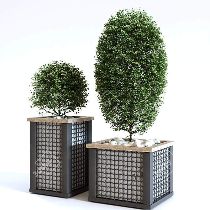 Greenery Oasis Box Set 113 3D model image 6