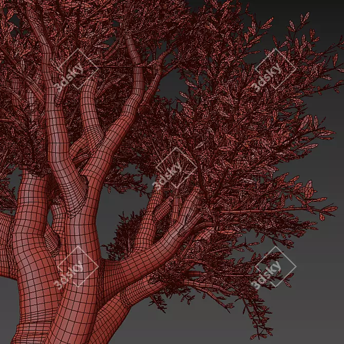 Artsy Olive Tree 3D Model 3D model image 4
