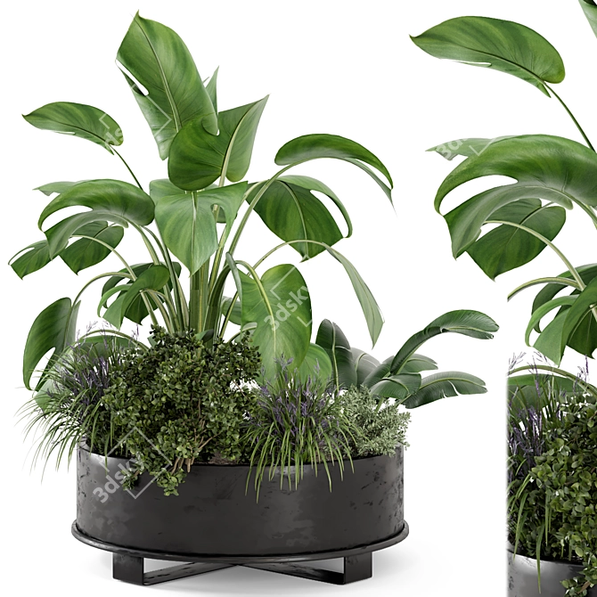 Rusty Metal Pot Outdoor Plants Set 3D model image 1