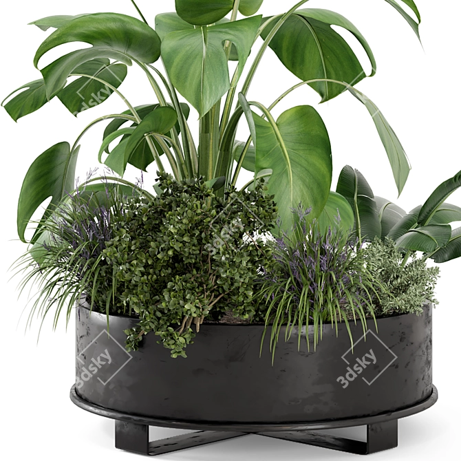 Rusty Metal Pot Outdoor Plants Set 3D model image 2