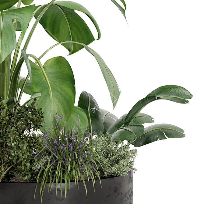 Rusty Metal Pot Outdoor Plants Set 3D model image 3