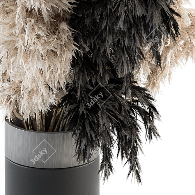 Elegant Pampas: Black Cream Beauty 3D model image 4