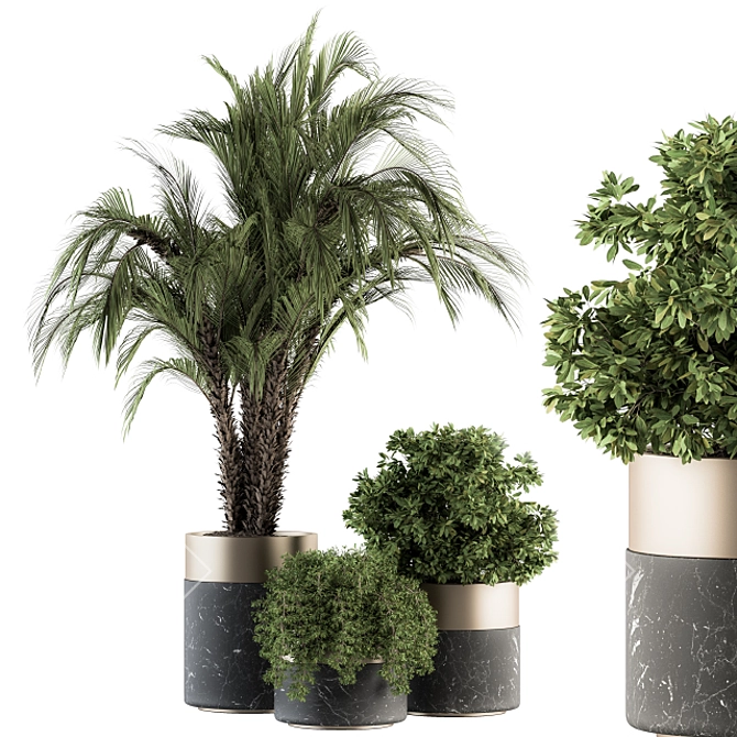 Green Oasis: Indoor Plant Set in Pot 3D model image 1