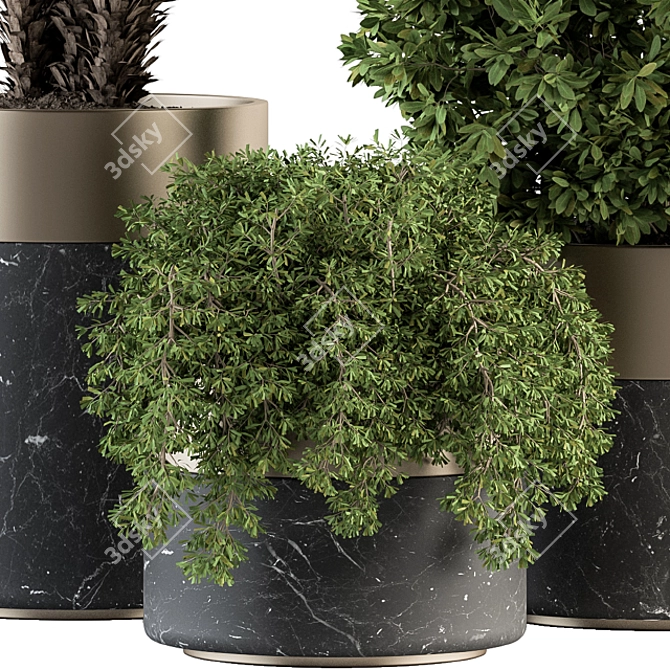 Green Oasis: Indoor Plant Set in Pot 3D model image 4