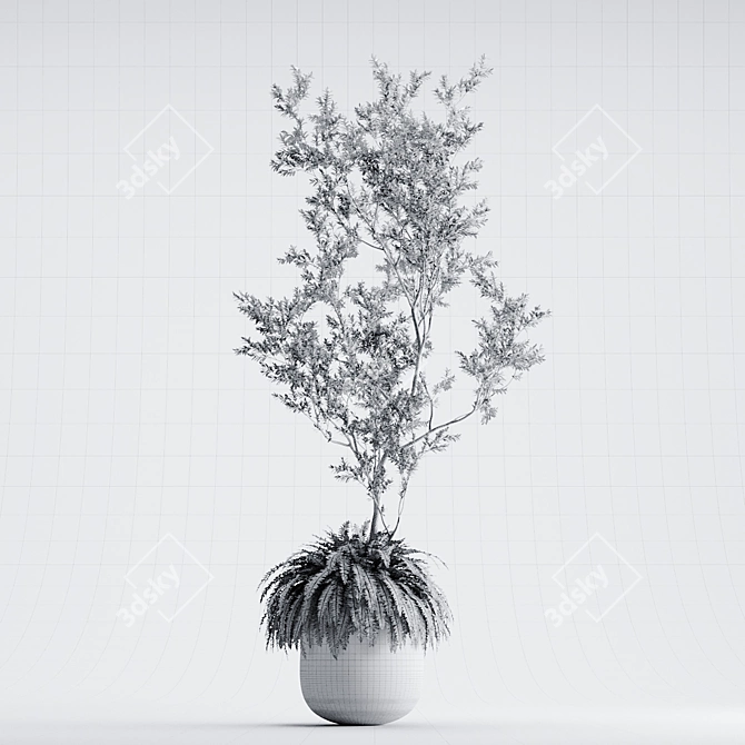 Organika Plant Pack: Myrciaria & Nephrolepis 3D model image 3