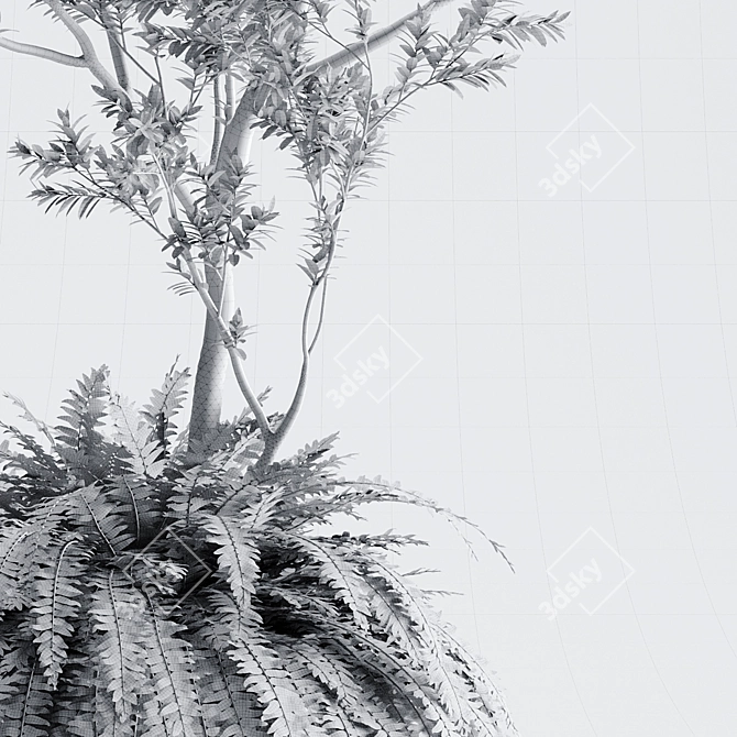 Organika Plant Pack: Myrciaria & Nephrolepis 3D model image 4