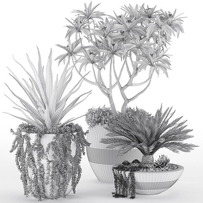 Tropical Oasis: High-quality Plants 3D model image 2