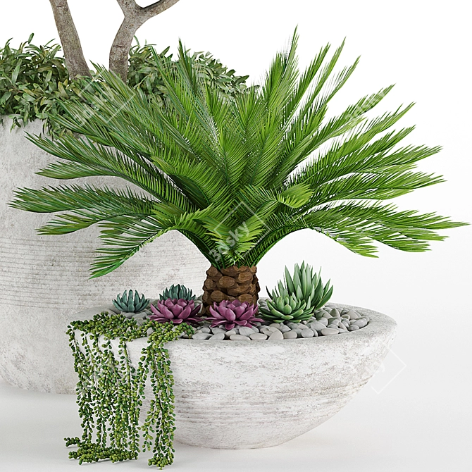 Tropical Oasis: High-quality Plants 3D model image 5