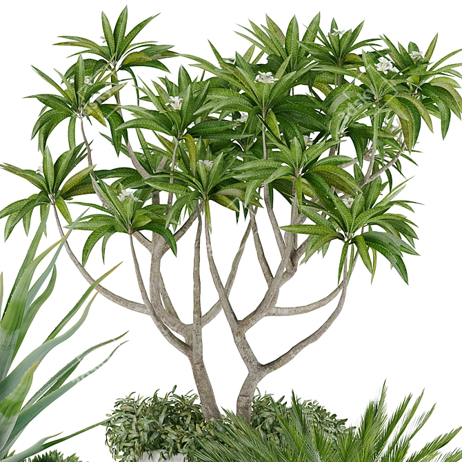 Tropical Oasis: High-quality Plants 3D model image 16