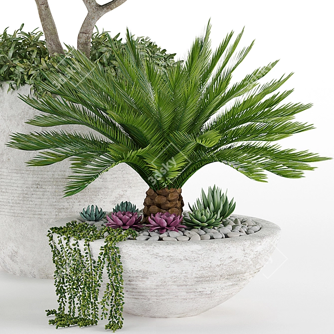 Tropical Oasis: High-quality Plants 3D model image 17