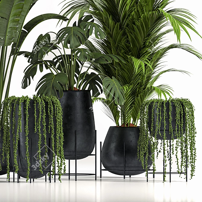 Stylish Indoor Plant Set06 3D model image 3