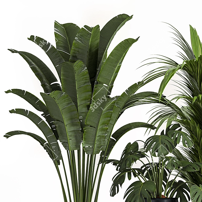 Stylish Indoor Plant Set06 3D model image 4