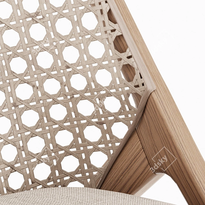 Tara Rattan Lounge Chair 3D model image 3