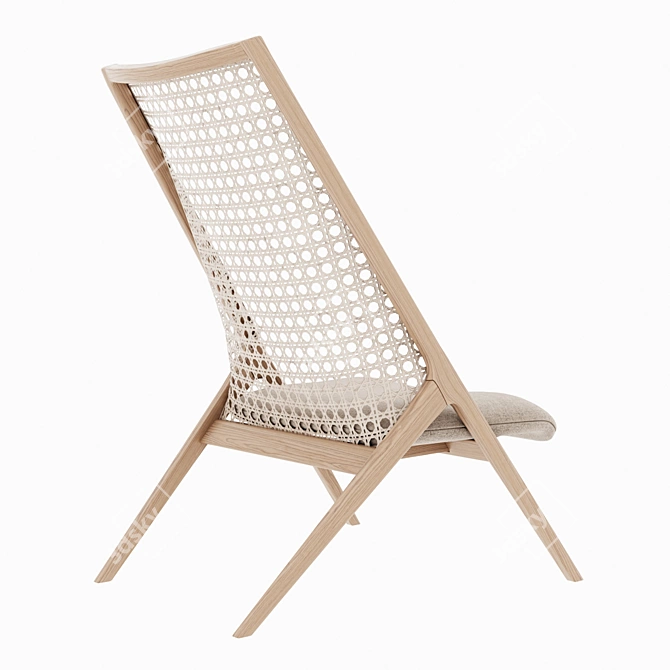 Tara Rattan Lounge Chair 3D model image 4