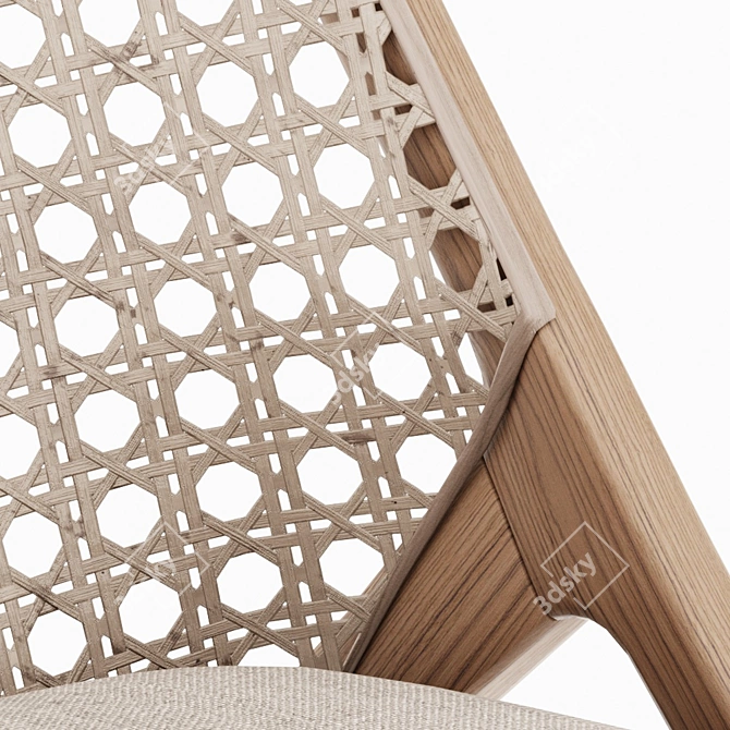 Tara Rattan Lounge Chair 3D model image 5