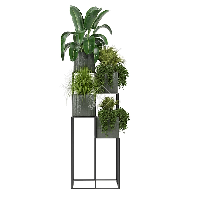 Green Oasis: Indoor Plants Collection 3D model image 4