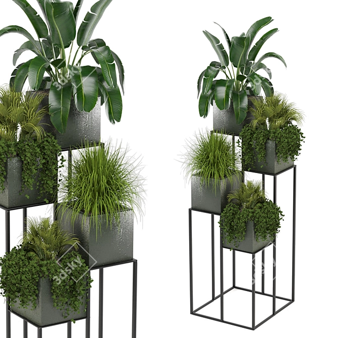 Green Oasis: Indoor Plants Collection 3D model image 5