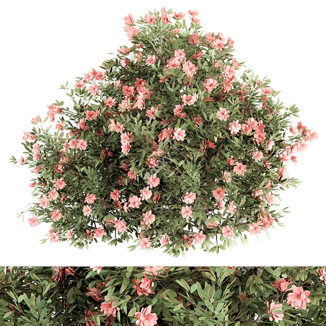 Pink Flower Plant Set - 33 Bush 3D model image 4