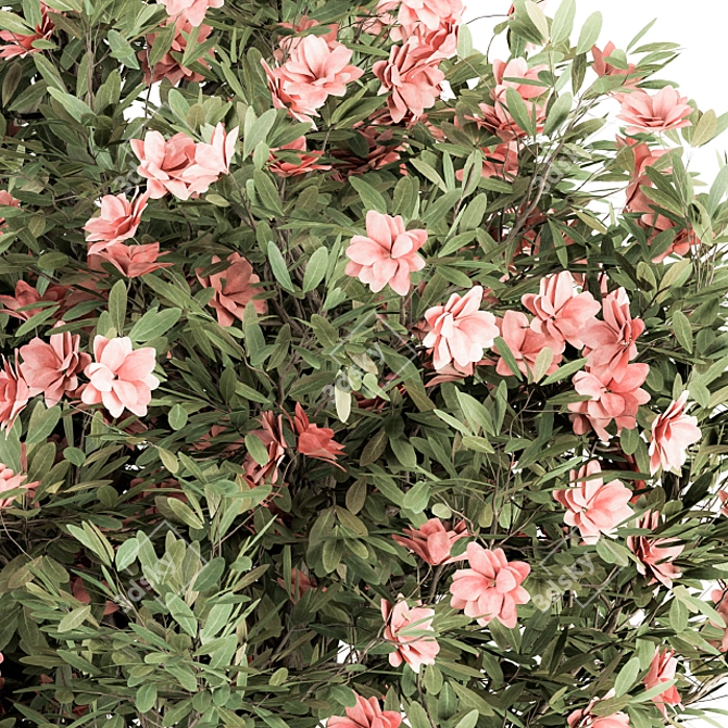 Pink Flower Plant Set - 33 Bush 3D model image 5