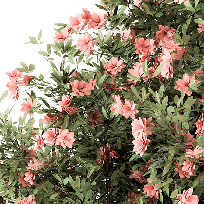 Pink Flower Plant Set - 33 Bush 3D model image 1