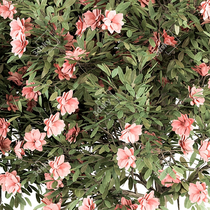 Pink Flower Plant Set - 33 Bush 3D model image 2