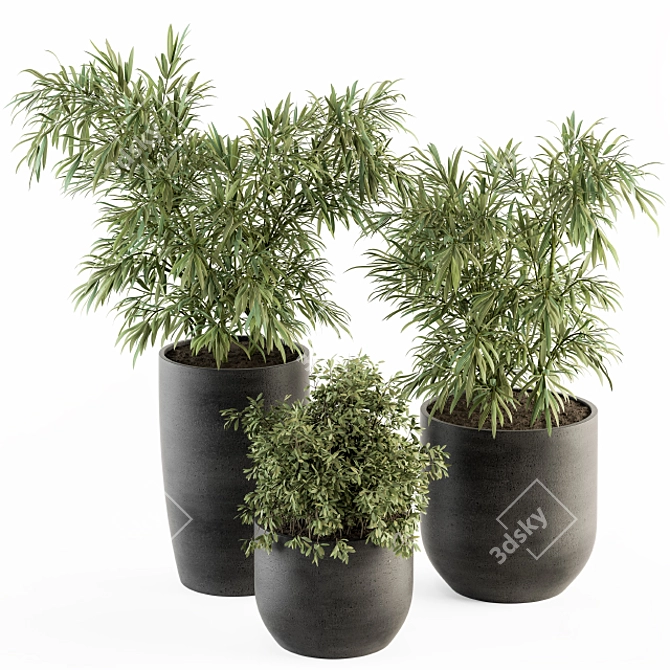 Green Oasis: Indoor Plant Set 3D model image 1