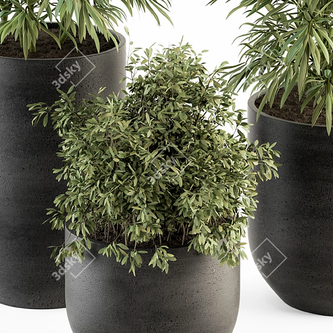 Green Oasis: Indoor Plant Set 3D model image 3