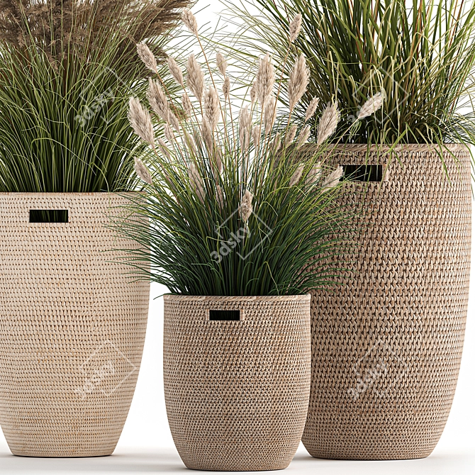 Exotic Plant Collection: Indoor & Outdoor Decor 3D model image 3