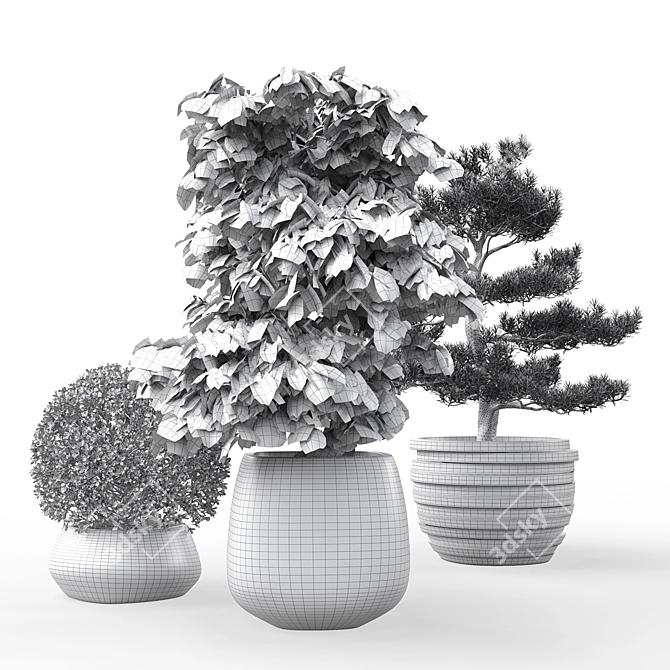 Outdoor Plant Pot Set: Red Dragon Maple, Forsythia & Pine Topiaries 3D model image 9