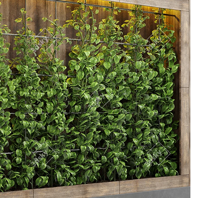 103 Ivy Plant Vertical Garden Wood Vase 3D model image 3