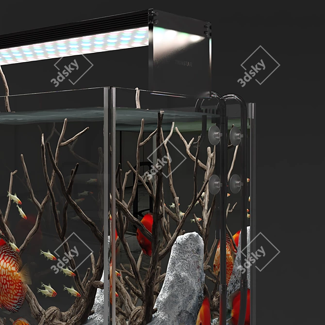 Natural Biotope Aquarium with Discus Fish 3D model image 1