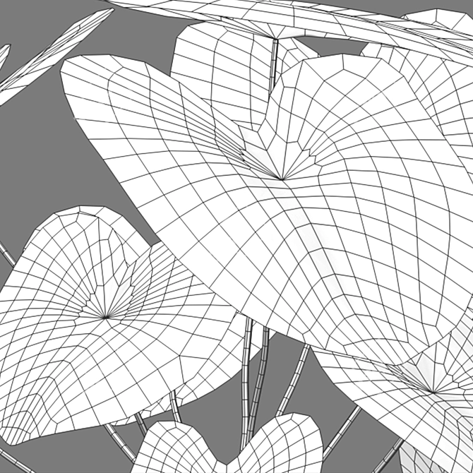 Snowy Caladium: Angelic White Christmas 3D model image 3