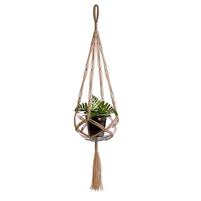 Natural Macramé Plant Holder 3D model image 4