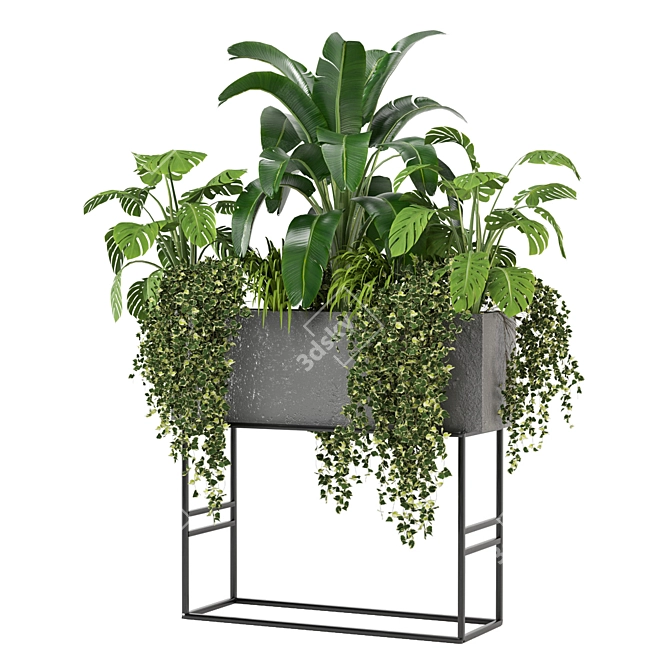 Green Oasis Indoor Plants Collection 3D model image 1