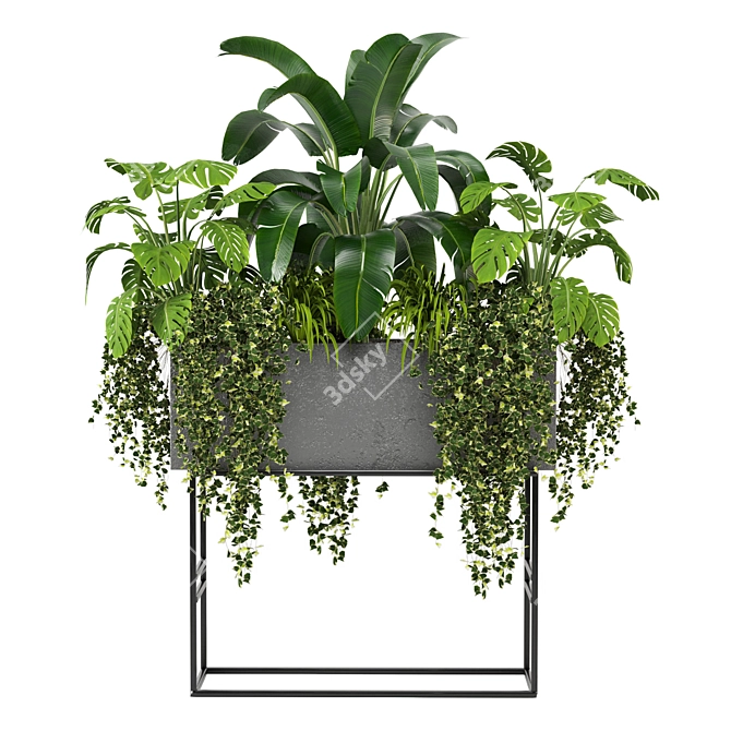 Green Oasis Indoor Plants Collection 3D model image 2