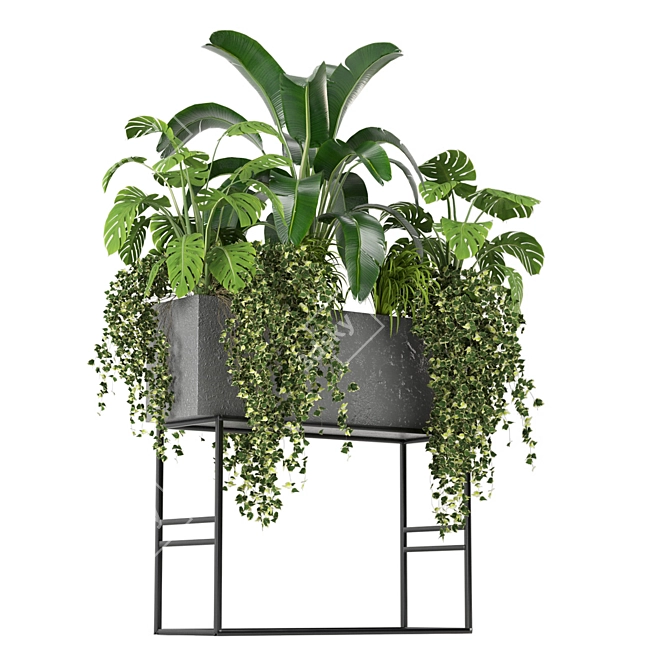 Green Oasis Indoor Plants Collection 3D model image 3