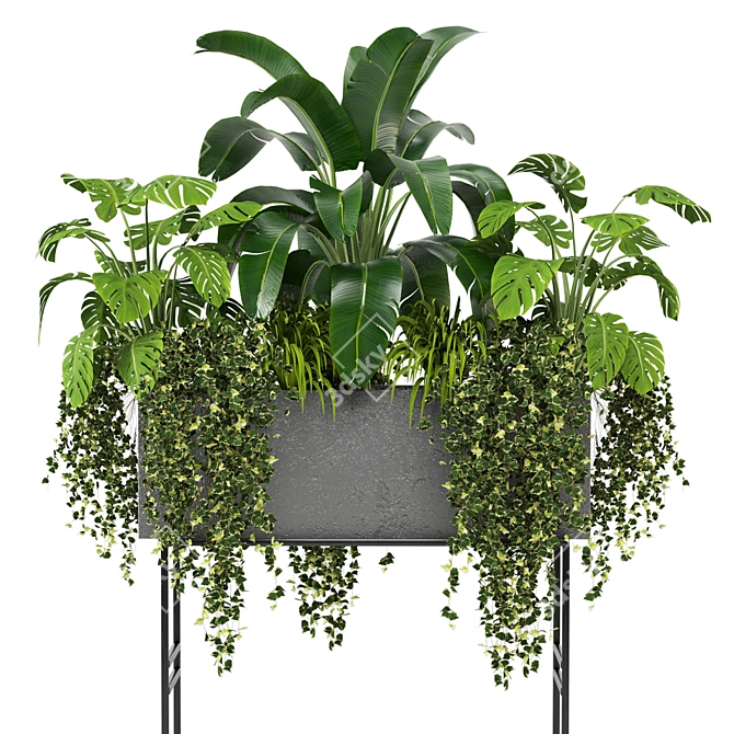 Green Oasis Indoor Plants Collection 3D model image 5