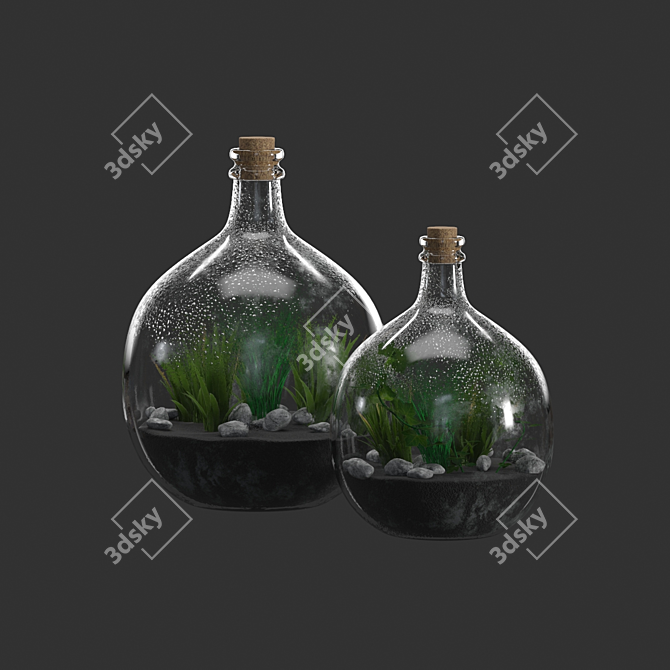 Glass Terrarium Bottle: Living Art in a Jar 3D model image 3