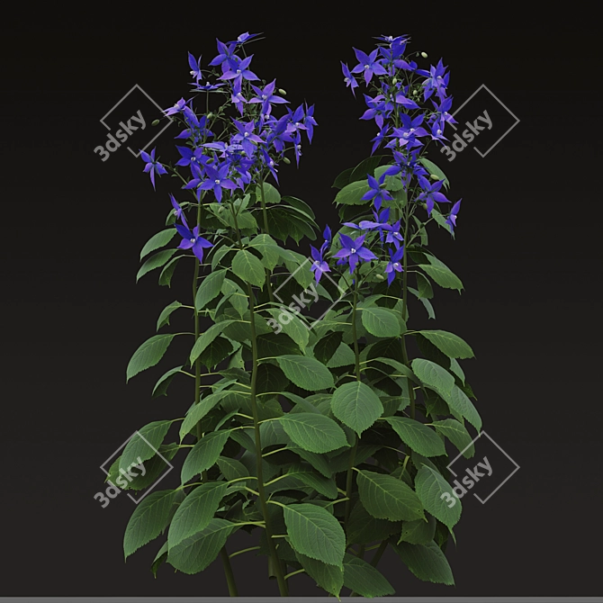 Title: Borago officinalis Starflower Trio 3D model image 3